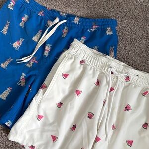 Youth Chubbies & Hollister Swim Trunk Bundle